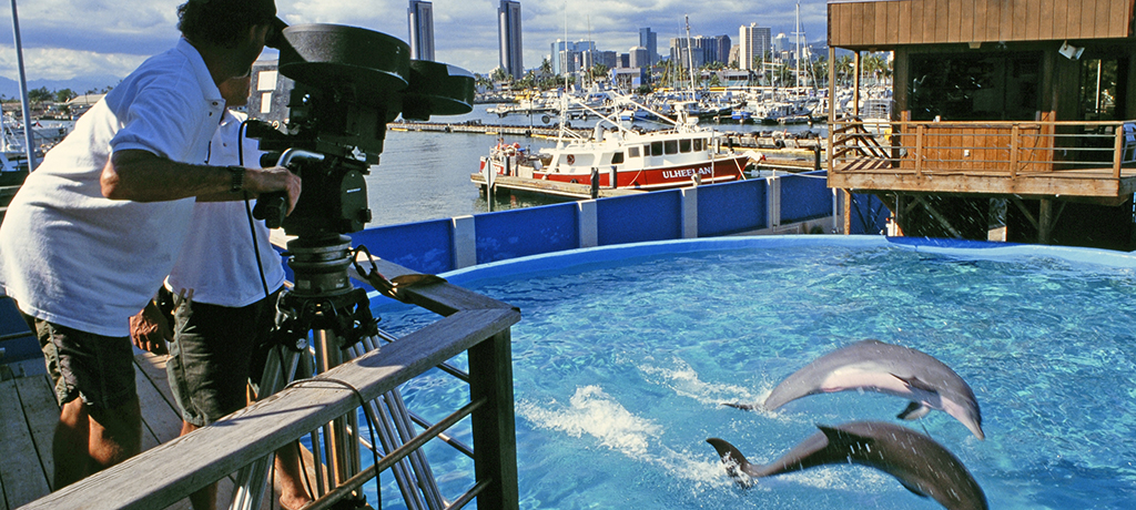 IMAX Camera & Director film Dolphins @ Kewalo Basin.jpg